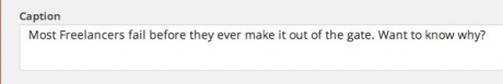 Adding a Caption To WordPress Photos