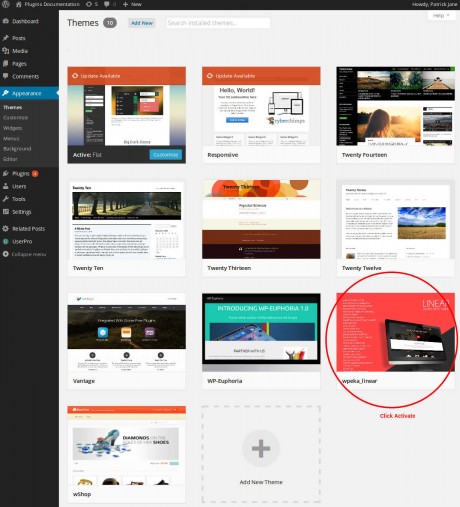 How to use Linear WordPress theme for highly customizable widgets
