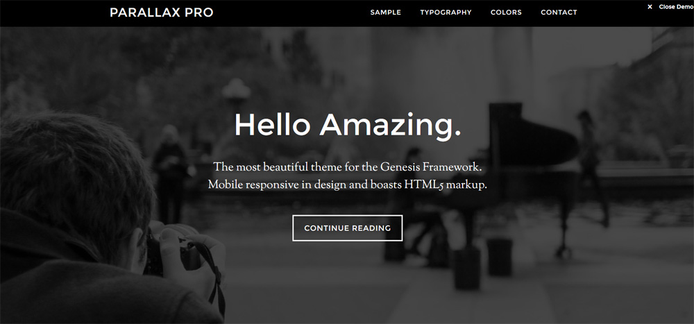 wordpress websites themes with