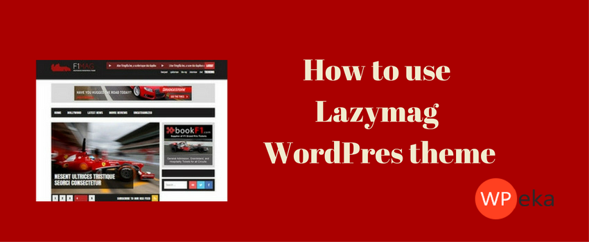 How To Use Lazymag