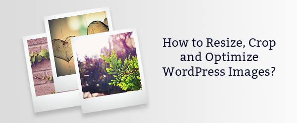 How to Resize, Crop and Optimize WordPress Images?