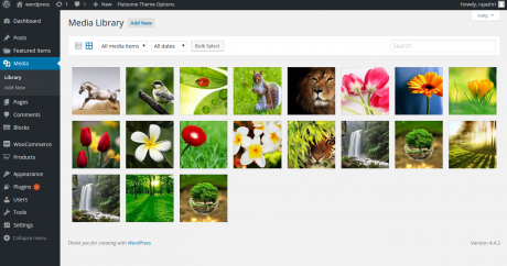 Ultimate Guide About Images in WordPress-I