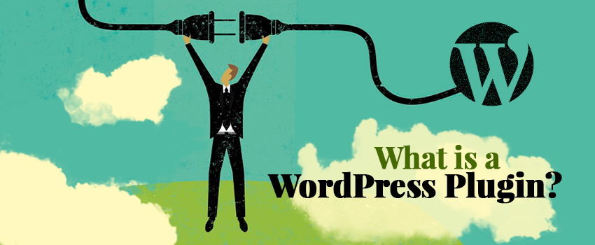 What is a WordPress Plugin?