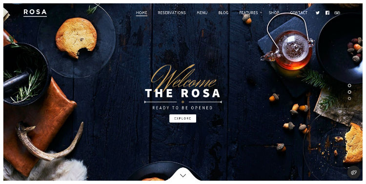 rosa-fast-wordpress-theme