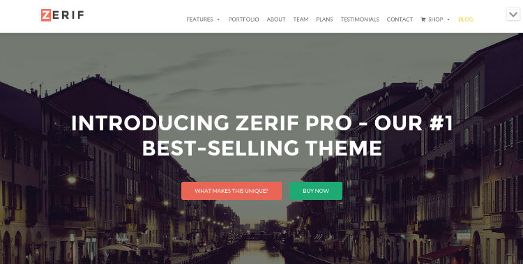 zerif pro theme