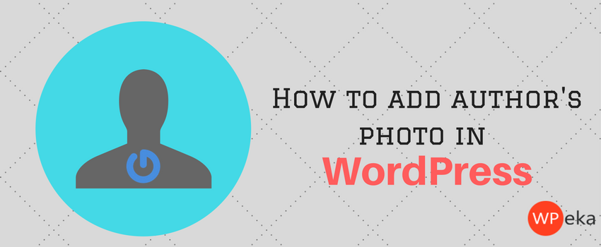 How to add author’s photo in WordPress