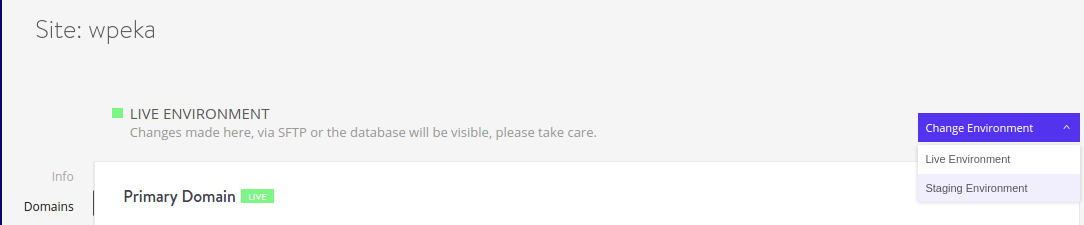Kinsta staging environment