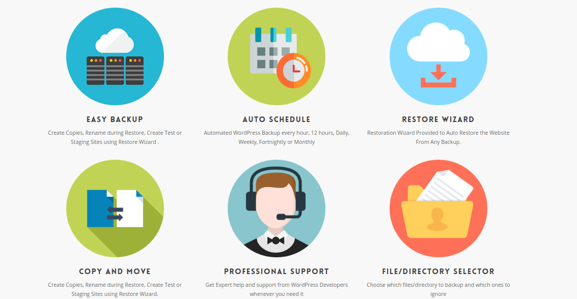 Build a WordPress Website
