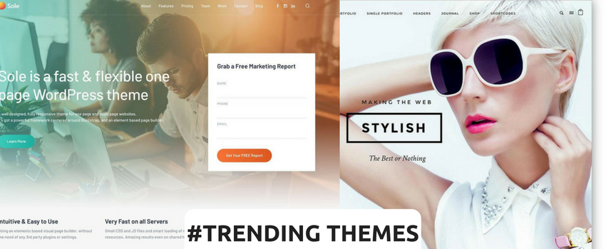 Most Trending Themes To Make Beautiful Websites