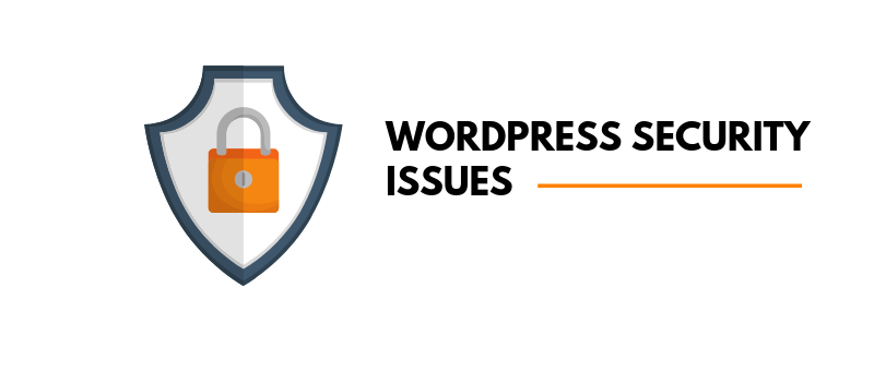 How to Fix Common WordPress Security Issues – 12 Tips For Beginners