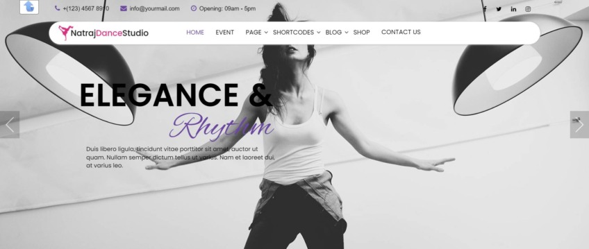 Nataraj - Dance Studio WordPress Theme