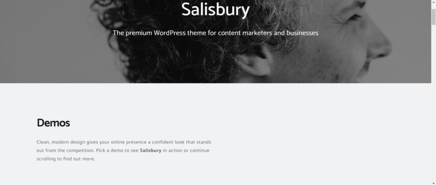 Salisbury entrepreneur wordpress Themes