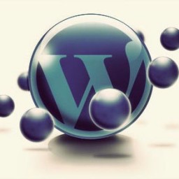 How to remove WordPress from your site’s domain name
