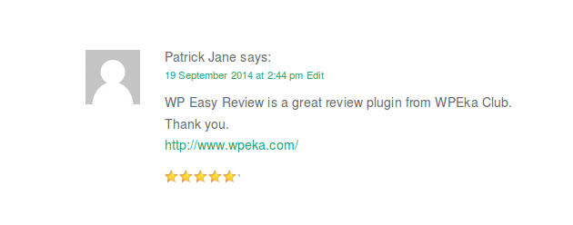 How to add reviews to your WordPress posts with WP Easy Review