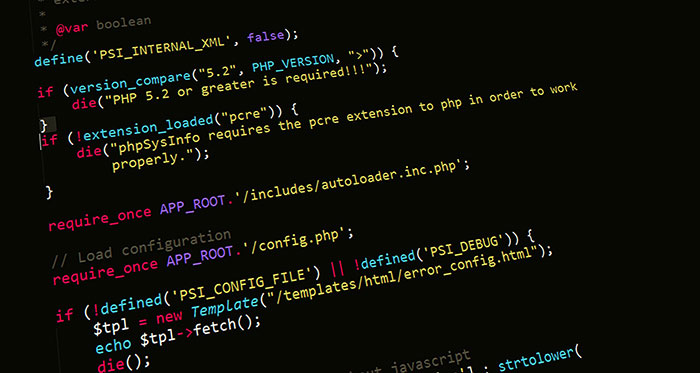 Why You Should Hire A Professional WP Developer