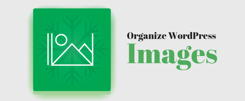 Where Are WordPress Images Stored and How Can You Organize Them